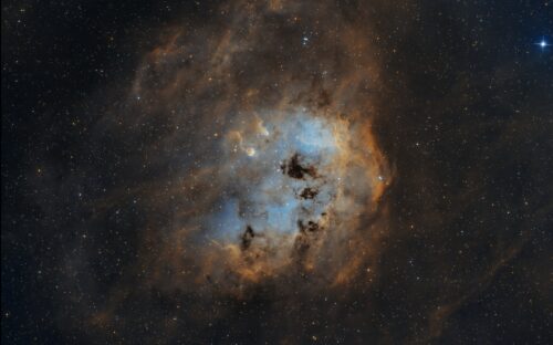Kikkervisjes_NGC1893
